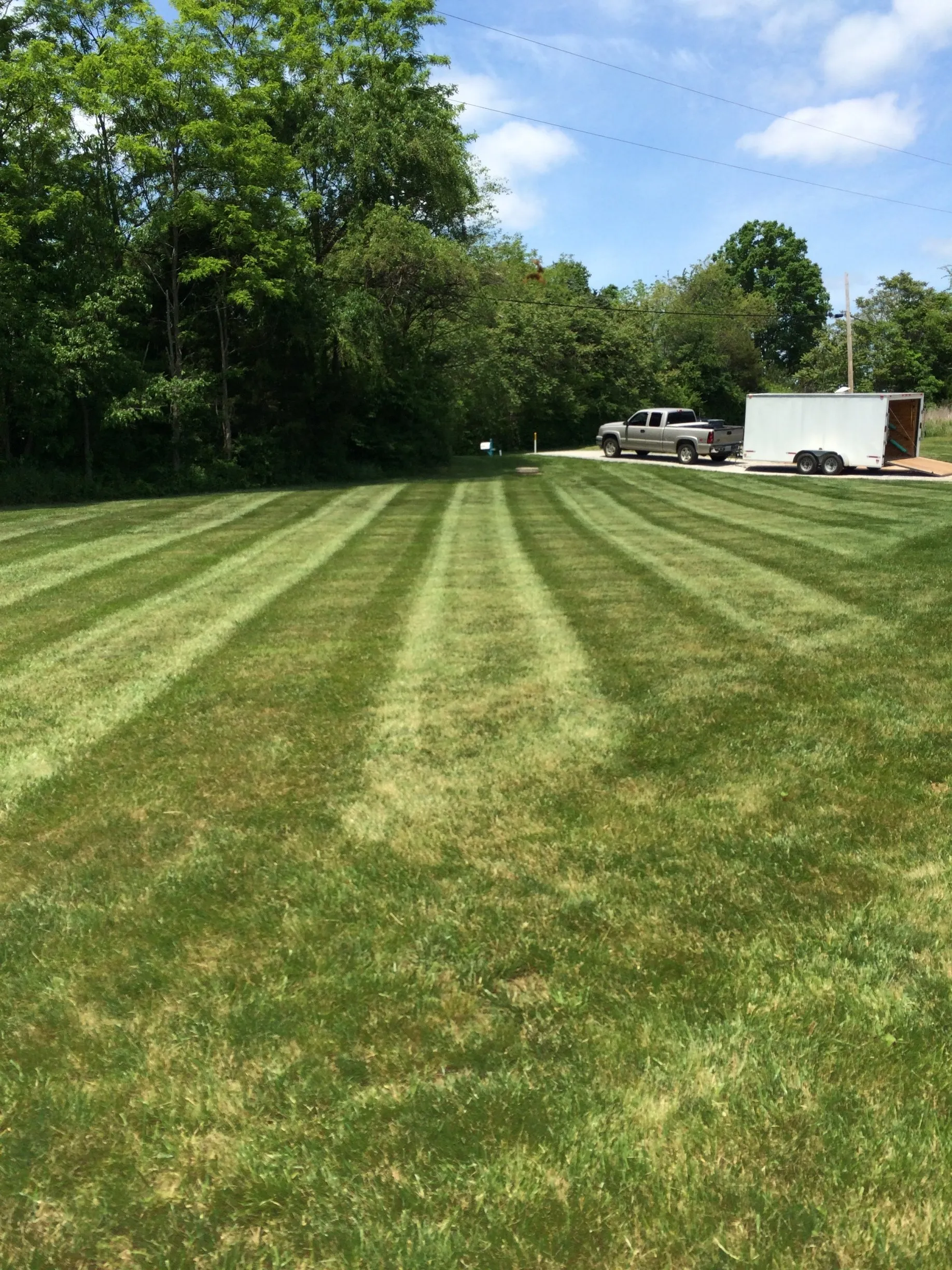 Yard care in east Florida
