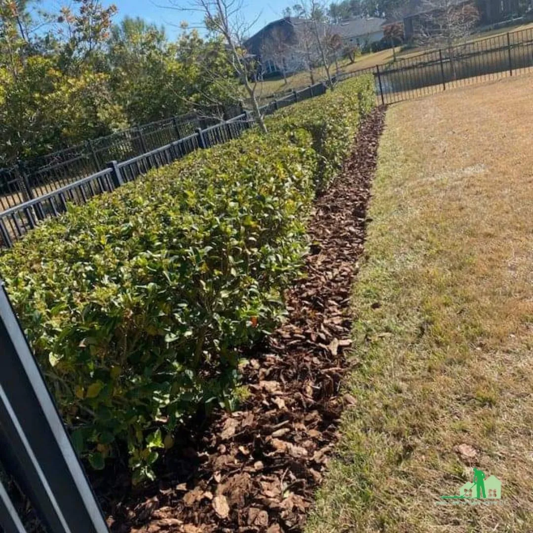 Hedge trimming and shrub pruning
