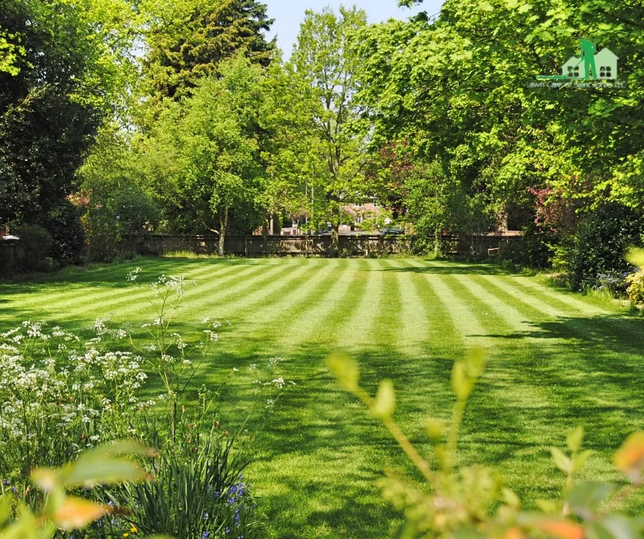 Residential landscape after maintenance